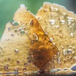 Lawmakers Consider THC Limit That Would Ban Many Cannabis Concentrates Washington Cannabis Concentrates Limit mgretailer