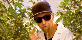 22Red to Launch in Arizona Dispensaries 22Red-Arizona-PR-mg-magazine-mgretailer