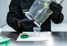 What’s in Your Weed? Cannasafe-Weed-Contents-testing-mg-magazine-mgretailer