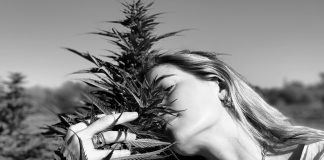 Chelsea Leyland Puts a Purposeful Spin on Medical Cannabis Chelsea-Leyland-1-retail-profile-mg-magazine-mgretailer