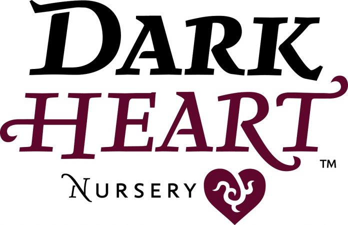 Dark-Heart-Nursery-logo-mg-magazine-mgretailer