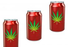 Aluminum Cans May Be Siphoning the Potency from THC-Infused Beverages THC-infused-beverages-aluminum-cans-mg-magazine-mgretailer