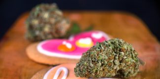 Valentine’s Day: 9 Cannabis Products for Lovers Valentine-2020-cannabis-round-up-mgretailer