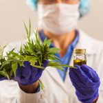 Essential Yet Illegal: COVID-19 Shows Fed Cannabis Policy is Unsustainable Coronavirus-COVID-19-cannabis-policy-essential-medicine-mg-Magazine-mgretailer