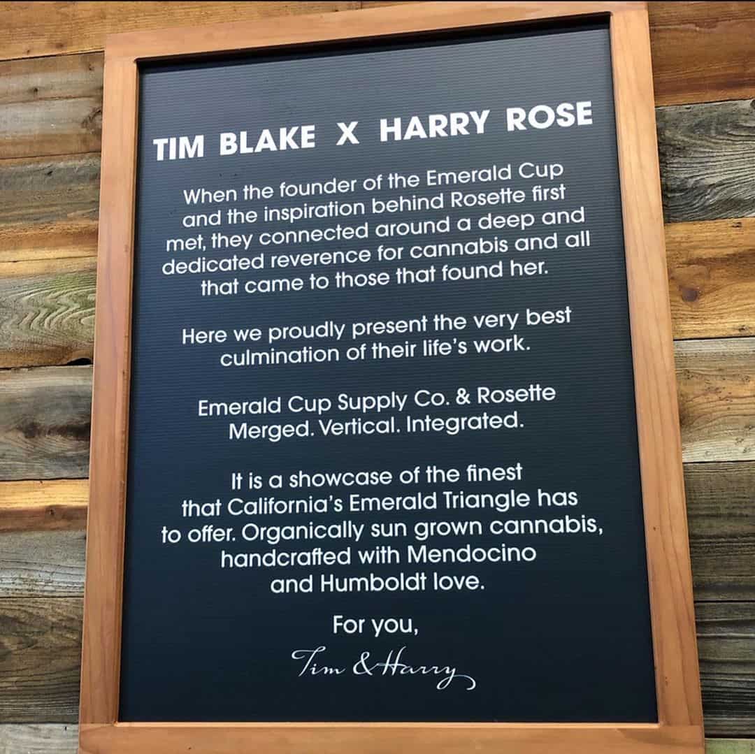 Tim Blake x Harry Rose