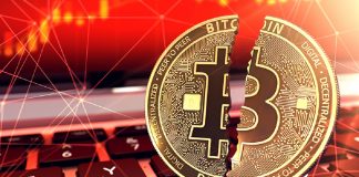 Cannabis, Cryptocurrency Co-Working Space Planned for Hollywood Tyler-Beuerlein-cryptocurrency-mg-magazine-mgreatiler-cannabis-news