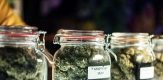 Medicinal Cannabis Program Now Operational in Utah Utah-Medicinal-Cannabis-Program-mg-magazine-mgretailer-cannabis-news