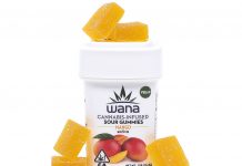 Wana Brands Mango Sativa Gummies Wana-Mango-Sativa-Gummies-mg-magazine-mgretailer