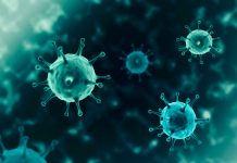 Lung Association Says Stop Smoking, Vaping to Avoid Coronavirus Complications COVID-coronavirus-smoking-vaping-mgretailer