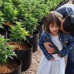 Pioneering CBD Patient Charlotte Figi Has Died; COVID-19 Suspected Charlotte-Figi-Charlottes-Web-Coronavirus-mg-magazine-mgretailer-cannabis-news