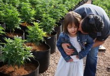 Pioneering CBD Patient Charlotte Figi Has Died; COVID-19 Suspected Charlotte-Figi-Charlottes-Web-Coronavirus-mg-magazine-mgretailer-cannabis-news