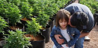 Pioneering CBD Patient Charlotte Figi Has Died; COVID-19 Suspected Charlotte-Figi-Charlottes-Web-Coronavirus-mg-magazine-mgretailer-cannabis-news