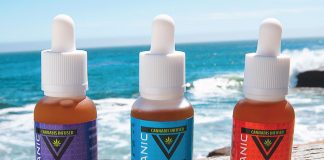 La Vida Verde Organic Tinctures La-Vida-Verde-Organic-Tinctures-cannabis-products-mg-magazine-mgretailer