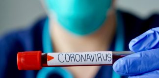 Cannabis and Coronavirus: Increasing Protocols as the Industry Adapts cannabis-coronavirus-COVID-mgretailer