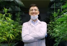 Cannabis and Coronavirus: Adapting, Contributing as Global Markets Adjust essential-services-coronavirus-covid-19-mg-magazine-mgretailer-cannabis-news