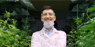 Cannabis and Coronavirus: Adapting, Contributing as Global Markets Adjust essential-services-coronavirus-covid-19-mg-magazine-mgretailer-cannabis-news