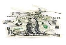 Will the Cannabis Industry Recover from the 2019 Market Crash? Cannabis-Industry-market-crash-2019-mg-magazine-mgretailer