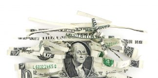 Will the Cannabis Industry Recover from the 2019 Market Crash? Cannabis-Industry-market-crash-2019-mg-magazine-mgretailer