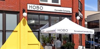 Cannabis and Coronavirus: Back to Business as States Start ‘Reopening’ Cannabis-news-Coronavirus-May-11-Reopening-mgretailer-mg-magazine