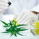 Canadian Cannabis Research Study Shows CBD Could Help Treat COVID-19 Pathway-Rx-COVID-19-CBD-study-mg-magazine-mgretailer
