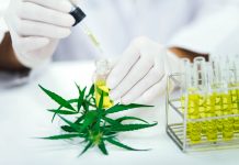 Canadian Cannabis Research Study Shows CBD Could Help Treat COVID-19 Pathway-Rx-COVID-19-CBD-study-mg-magazine-mgretailer