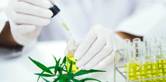 Canadian Cannabis Research Study Shows CBD Could Help Treat COVID-19 Pathway-Rx-COVID-19-CBD-study-mg-magazine-mgretailer