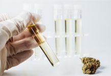 Product Recall Issued for CBD Oil Due to Lead Contamination Summit-Labs-CBD-Oil-Recall-FDA-CBD-news-mg-magazine-mgretailer
