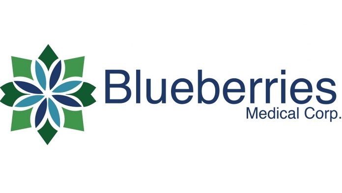 Blueberries-Medical-Corp-logo-mg-magazine-mgretailer