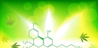 Is CBN a Sleep Panacea? Science Doesn’t Support the Myth. Is-CBN-a-Sleep-Panacea-Carolina-Vasquez-Mitchell-dreamt-mg-magazine-mgretailer