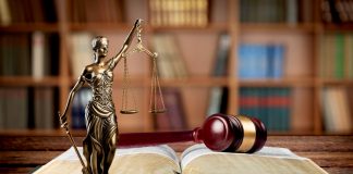 Two States Could Soon Offer Pardons to Those with Cannabis Convictions Pardon-cannabis-convictions-Nevada-Colorado-mg-magazine-mgretailer-cannabis-news