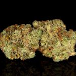 Viola Announces First Harvest and Launch of Detroit Cultivation Facility Viola-First-Harvest-Detroit-Cultivation-Under-Dawg-strain-press-release-mg-magazine-mgretailer