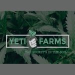 Yeti Farms Introduces ‘Yummies’ All Natural Gummies Yeti-Farms-logo-mg-magazine-mgretailer