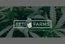 Yeti Farms Doubles Plant Count for Medical Cannabis Yeti-Farms-logo-mg-magazine-mgretailer