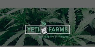 Yeti Farms Doubles Plant Count for Medical Cannabis Yeti-Farms-logo-mg-magazine-mgretailer