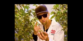 Los Angeles Cannabis Brand, 22Red, to Launch in Nevada Dispensaries 22Red-710-dab-day-launch-2020-press-release-mg-magazine-mgretailer