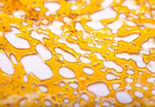 7/10 Dab Day Roundup: Fun Finds for Cannabis Oil Holiday 7-10-Roundup-OIL-Day-list-cannabis-mgretailer-mg magazine