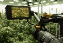 Agricultural Tech Investment Program Launches for AgTech Startup Businesses AgTech-Program-for-Startup-Businesses-mg-magazine-mgretailer-cannabis-news