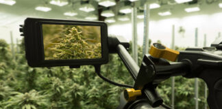 Agricultural Tech Investment Program Launches for AgTech Startup Businesses AgTech-Program-for-Startup-Businesses-mg-magazine-mgretailer-cannabis-news