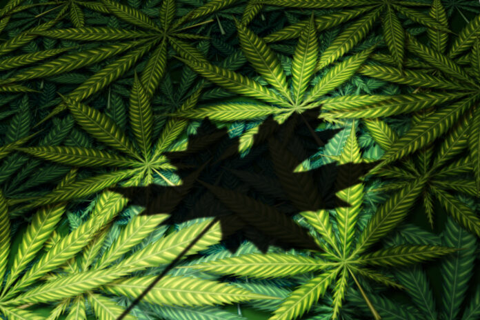 Canadian Cannabis-class-action-lawsuit-cannabis news-mg magazine-mgretailer