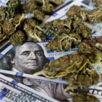 Cannabis and Coronavirus: Could Cannabis Help Save the Post-COVID Economy? Cannabis-News-Coronavirus-update-July-14-mg-magazine-mgretailer