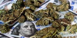 Cannabis and Coronavirus: Could Cannabis Help Save the Post-COVID Economy? Cannabis-News-Coronavirus-update-July-14-mg-magazine-mgretailer