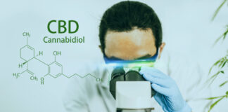 Research Studies Indicate CBD Could Help Treat Symptoms of COVID-19 Hemp-and-CBD-Research-Symptoms-of-COVID-19-mgretailer-mg-magazine-cannabis-news