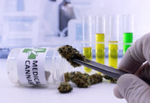 Southern University Announces THC-Infused Medicinal Cannabis Product Line Southern-University-medical-cannabis-launch-mgretailer-mg-magazine-cannabis-news