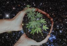 TruFlora Feel Good Pre-rolls Available at Cornerstone Wellness TruFlora-cornerstone-wellness-press-release-mg-magazine-mgretailer
