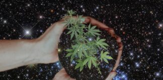 TruFlora Feel Good Pre-rolls Available at Cornerstone Wellness TruFlora-cornerstone-wellness-press-release-mg-magazine-mgretailer