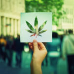 Changing Habits: How Cannabis Advocacy Has Been Impacted by COVID-19 Cannabis-advocacy-changing-habits-coronavirus-mg-magazine-mgretailer-cannabis-news