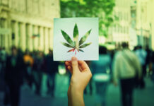 Changing Habits: How Cannabis Advocacy Has Been Impacted by COVID-19 Cannabis-advocacy-changing-habits-coronavirus-mg-magazine-mgretailer-cannabis-news