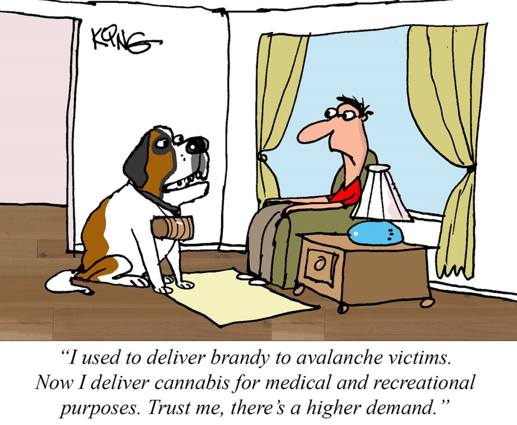 Jerry-King-cartoonist-August-2020-cannabis-cartoon-mg-magazine-mgretailer