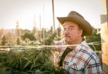 Exclusive Interview: Belushi Cannabis Brand Sprouts Reality TV Series Jim Belushi-Growing Belushi-reality TV series-mg magazine-mgretailer-cannabis news