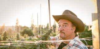 Exclusive Interview: Belushi Cannabis Brand Sprouts Reality TV Series Jim Belushi-Growing Belushi-reality TV series-mg magazine-mgretailer-cannabis news